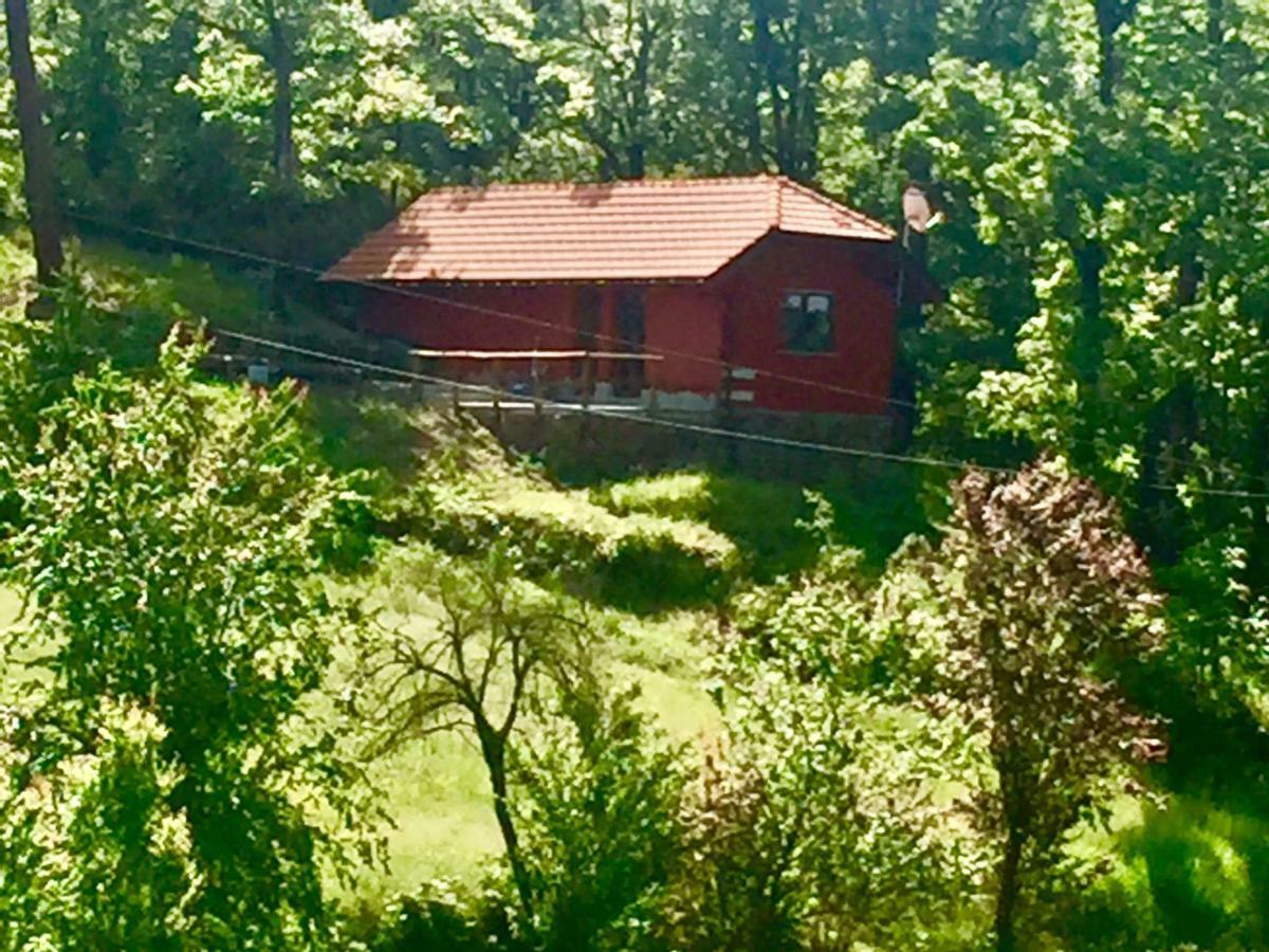 Le Murazze Holiday Houses Ponzone Exterior photo